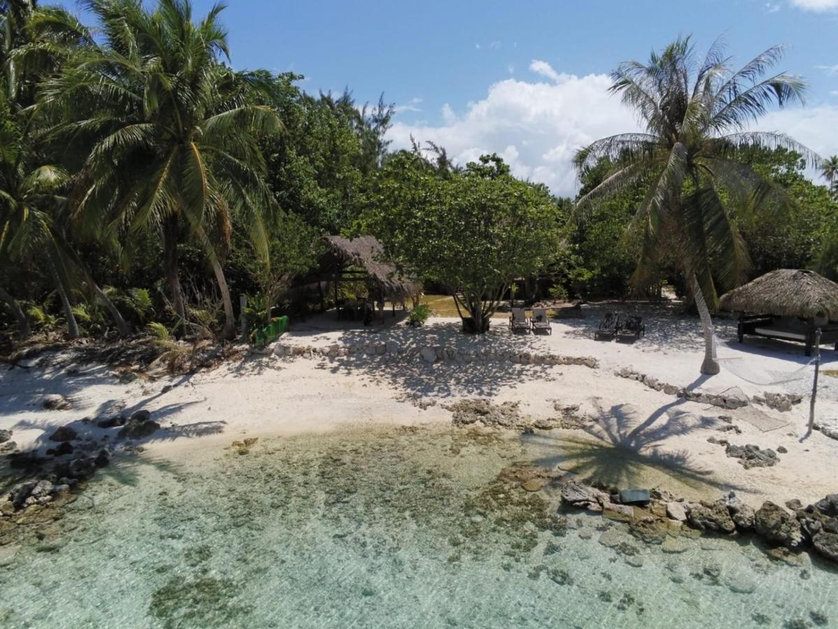 Le Coconut Lodge Avatoru Dış mekan fotoğraf