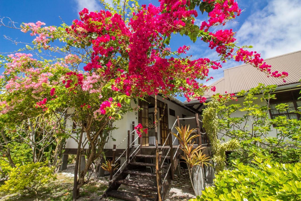 Le Coconut Lodge Avatoru Dış mekan fotoğraf