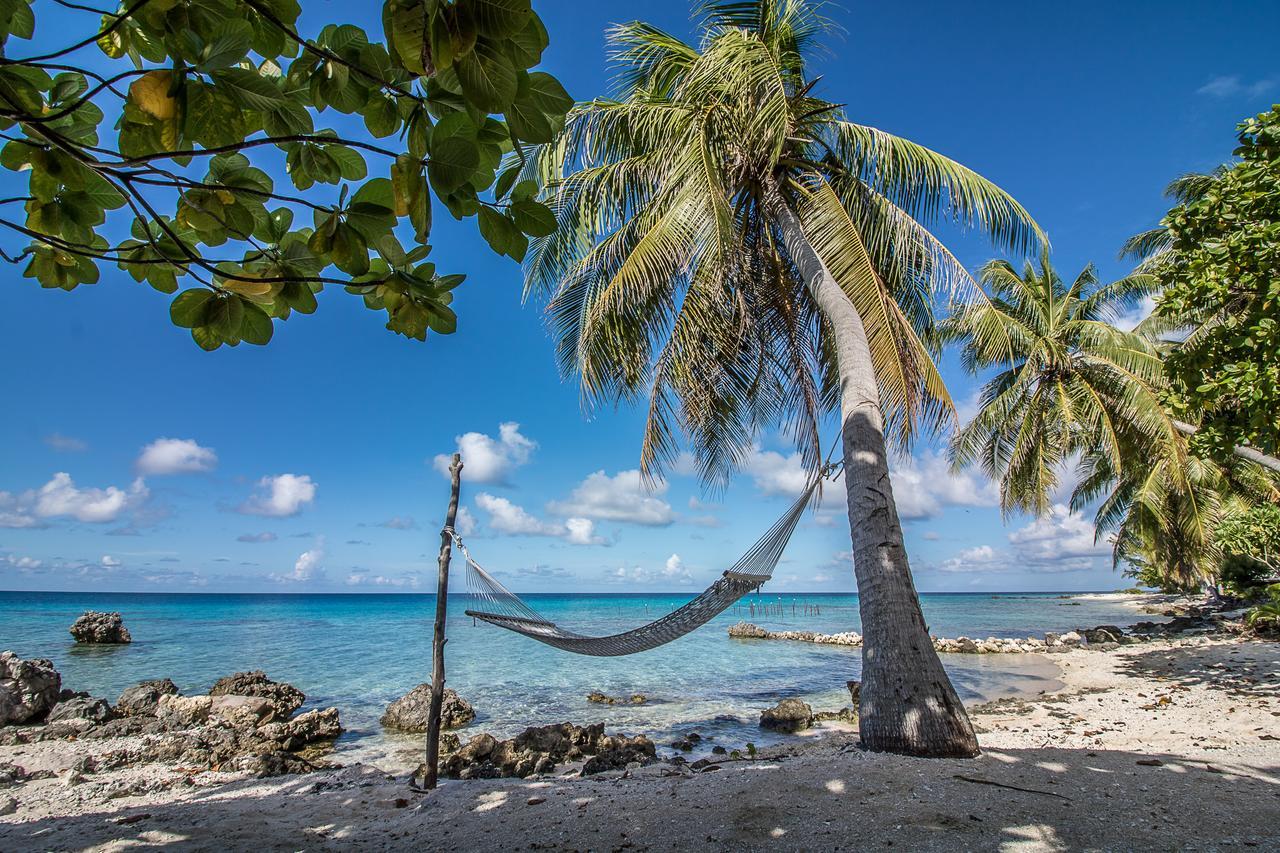Le Coconut Lodge Avatoru Dış mekan fotoğraf